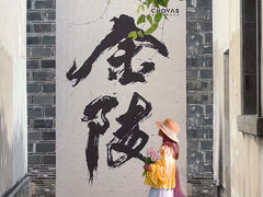-南京维景国际大酒店(南京博物院店)