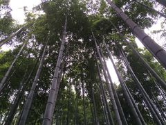 竹乡胖嫂家-安吉胖嫂家
