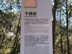 -四门塔风景区