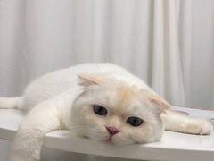 -老苏州大客堂·苏帮菜·松鼠桂鱼·苏州传统小吃(观前街人民商场店)