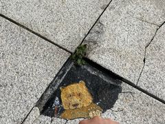 -东海半边山旅游度假区