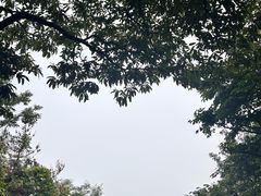 -惠山国家森林公园