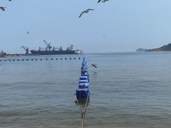 -海驴岛(荣成市)