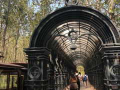 -合肥滨湖国家森林公园