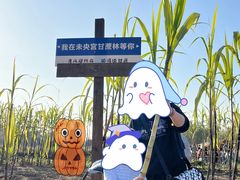 -汉长安城未央宫国家考古遗址公园