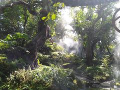 -Chom Cafe and Restaurant