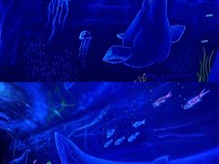 -福州罗源湾海洋世界旅游区