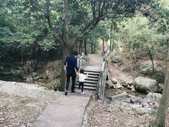 -北仑森林植物园