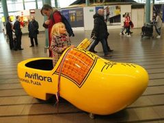 -阿姆斯特丹史基浦机场