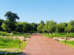 -汉长安城未央宫国家考古遗址公园