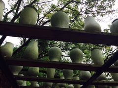 iphone_upload_pic-景德镇古窑民俗博览区