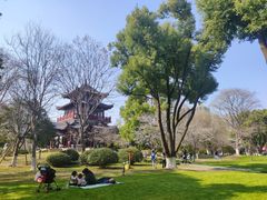 -堤角公园