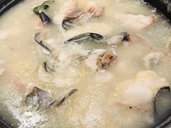 新品活的无刺清泉鱼瑶柱金钩锅-一井烧肉·活鳗·寿司(望京SOHO店)