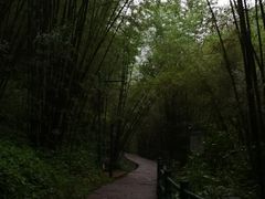 -四洞沟景区