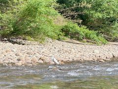 -九曲溪竹筏码头