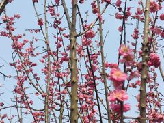 -桤木河湿地公园