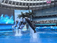-海合安成都极地海洋公园
