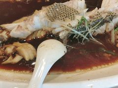 -紫光园·烤鸭·北京菜(劲松店)