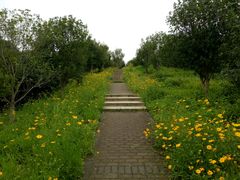 -松山湖梦幻百花洲