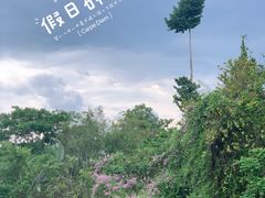 -中国科学院西双版纳热带植物园