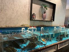 -汉水谣·江景餐厅(江滩店)