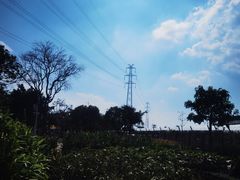 -长洲岛都市农业公园