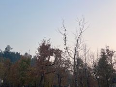 -顺峰山公园