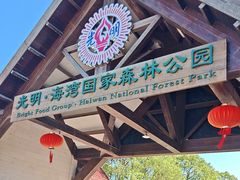 -上海海湾国家森林公园