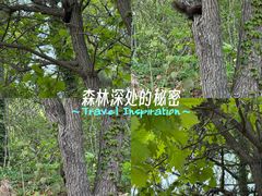 -北陵公园