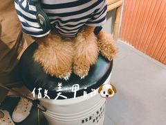-Tim炒酸奶