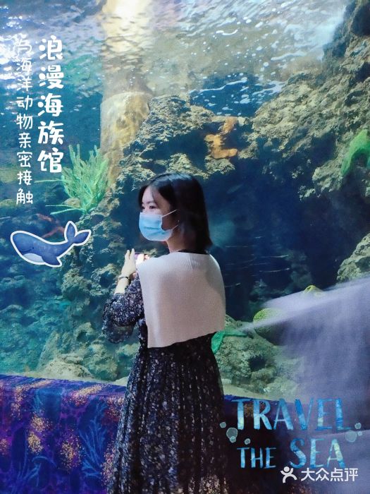 郑州海洋馆图片