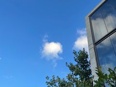 -上海浦东嘉里大酒店