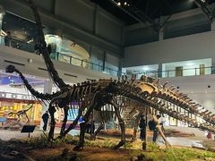 -自贡恐龙博物馆