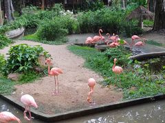 -清迈夜间动物园