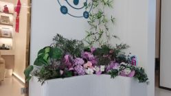 -头道汤头疗养生馆