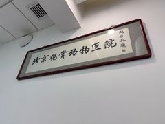 -北京观赏动物医院·24小时大型综合·猫专科·异宠专科