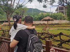 -泉州海丝野生动物世界