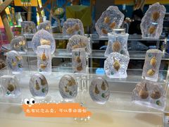 -榴莲BB 四季果园