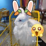 O这里是网红拍照打卡，闺蜜聚会
