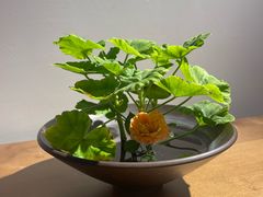 -良木缘咖啡西餐(川大店)