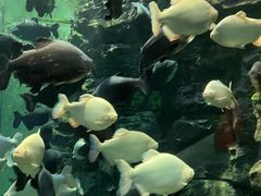 -成都浩海立方海洋公园