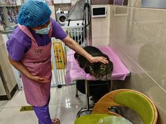 -北京观赏动物医院·24小时大型综合·猫专科·异宠专科
