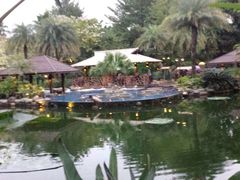 -厦门日月谷温泉渡假村