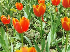 -长春公园(普阳街道)