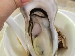 -石岐乳鸽村(南海第三分店)