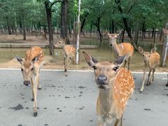 -秦皇岛野生动物园