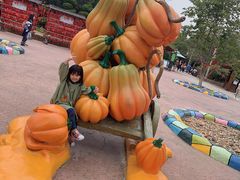 -大连海昌发现王国主题公园