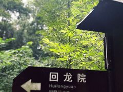 -凤栖山