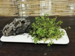 -徐汇艺术馆