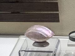 -中国船政文化博物馆
